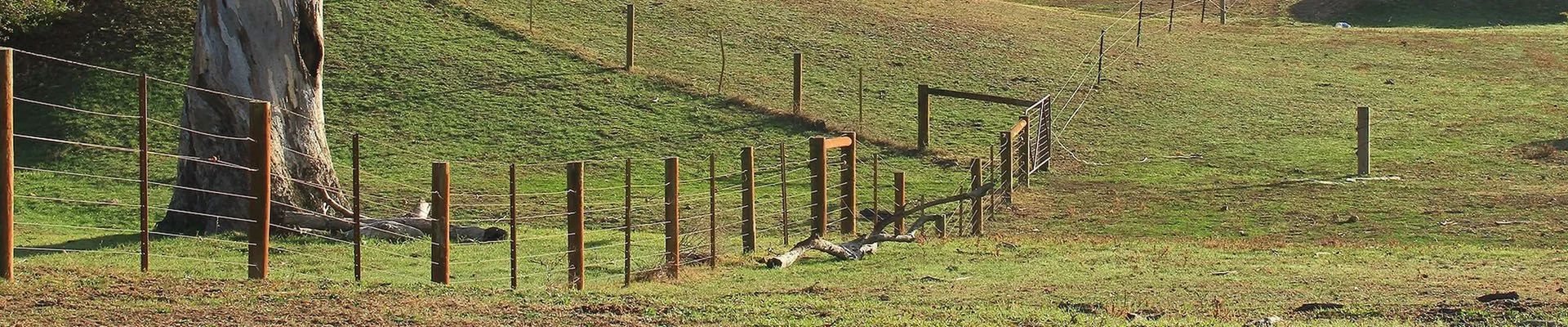 A Weathered Fence, With Wooden Posts — Paul’s Tyres & Farm Maintenance in Apsley, NSW