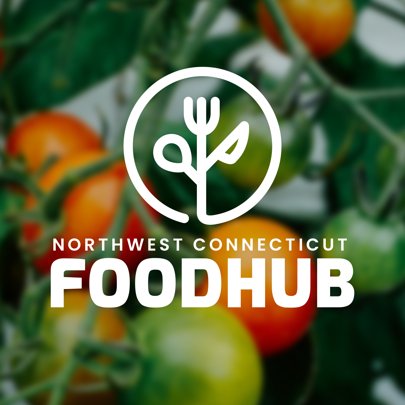 Food Hub Community