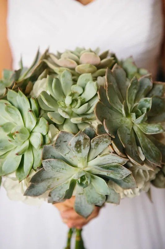 Bouquet of cactus flower holding by bride