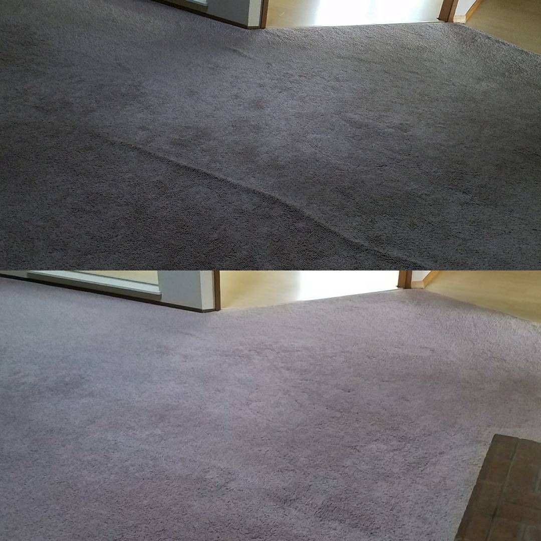 A person is cleaning a carpet with a sponge and a spray bottle.