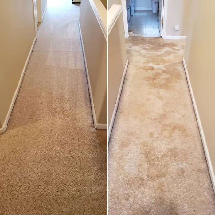 A vacuum cleaner is cleaning a carpet in a living room.