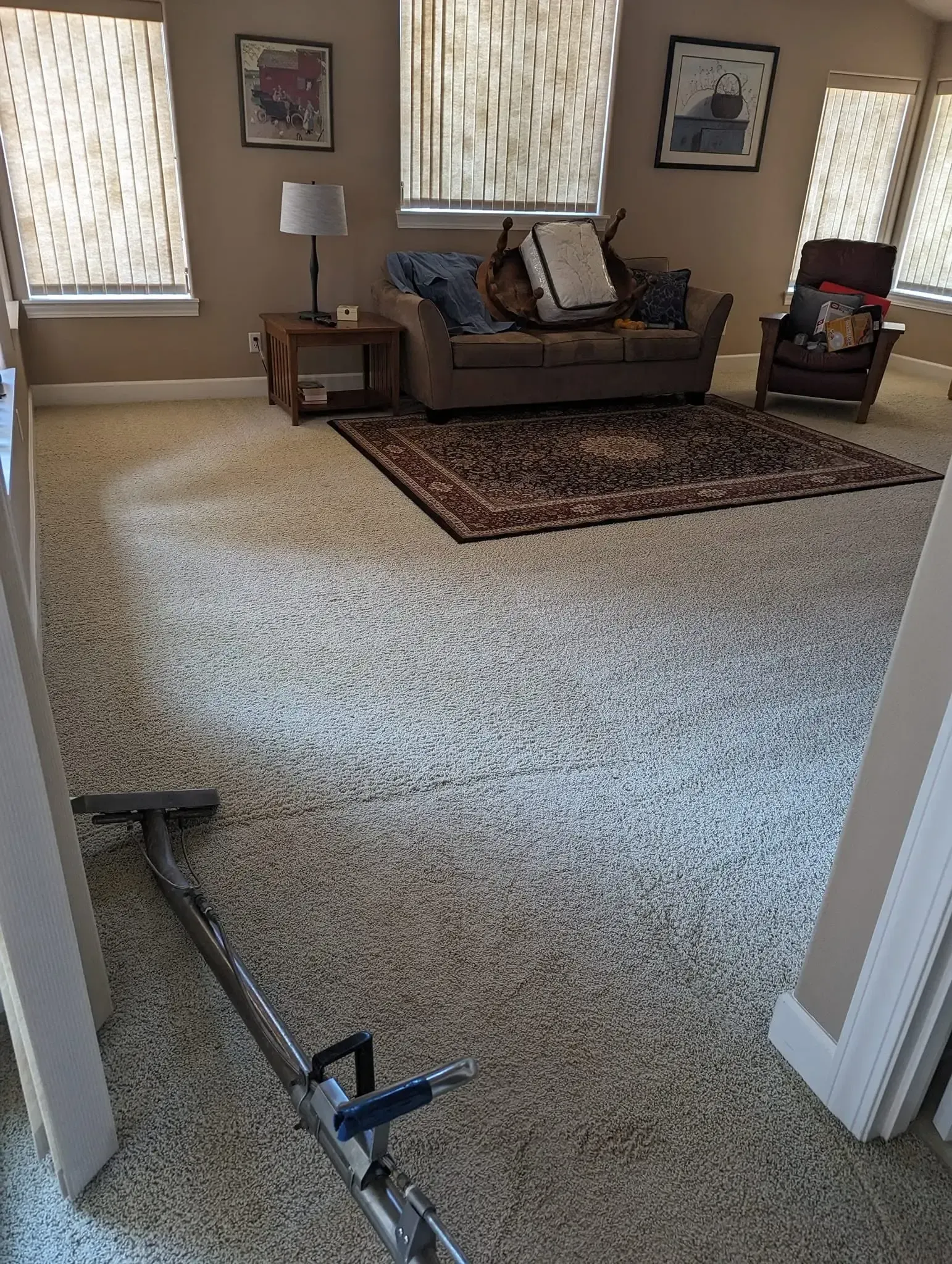 Professional organic carpet cleaning in Castle Rock WA Professional organic carpet cleaning in Castle Rock, WA