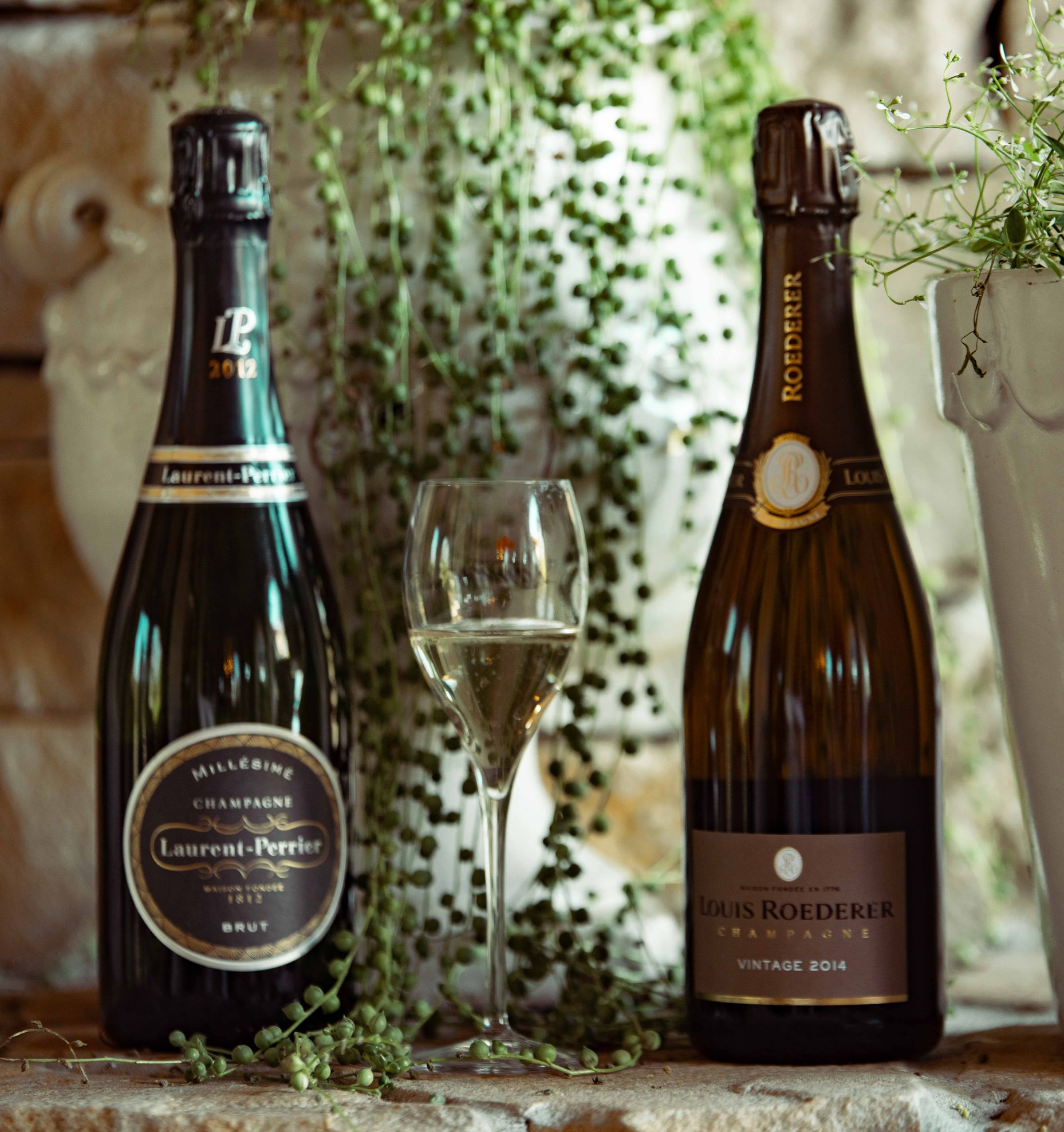 Fizz Champagne Club Reserve  level bottle.