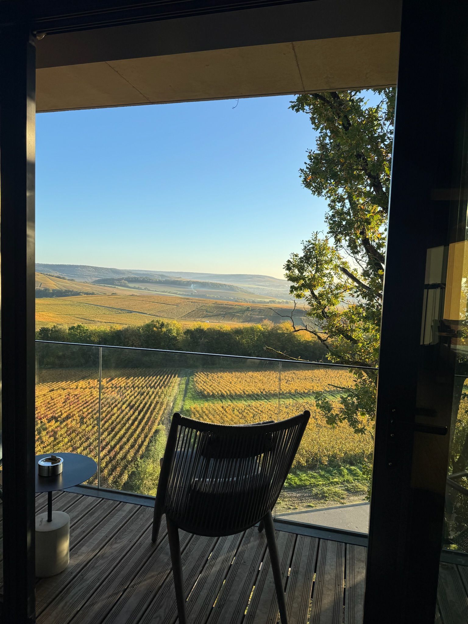 view from a hotel room overlooking a vineyard in Champagne, France.