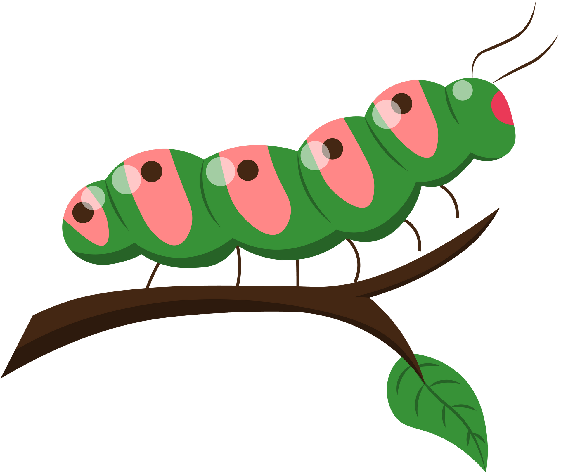 Green caterpillar with pink markings crawls on a brown branch with a green leaf. Green caterpillar with pink markings crawls on a brown branch with a green leaf.