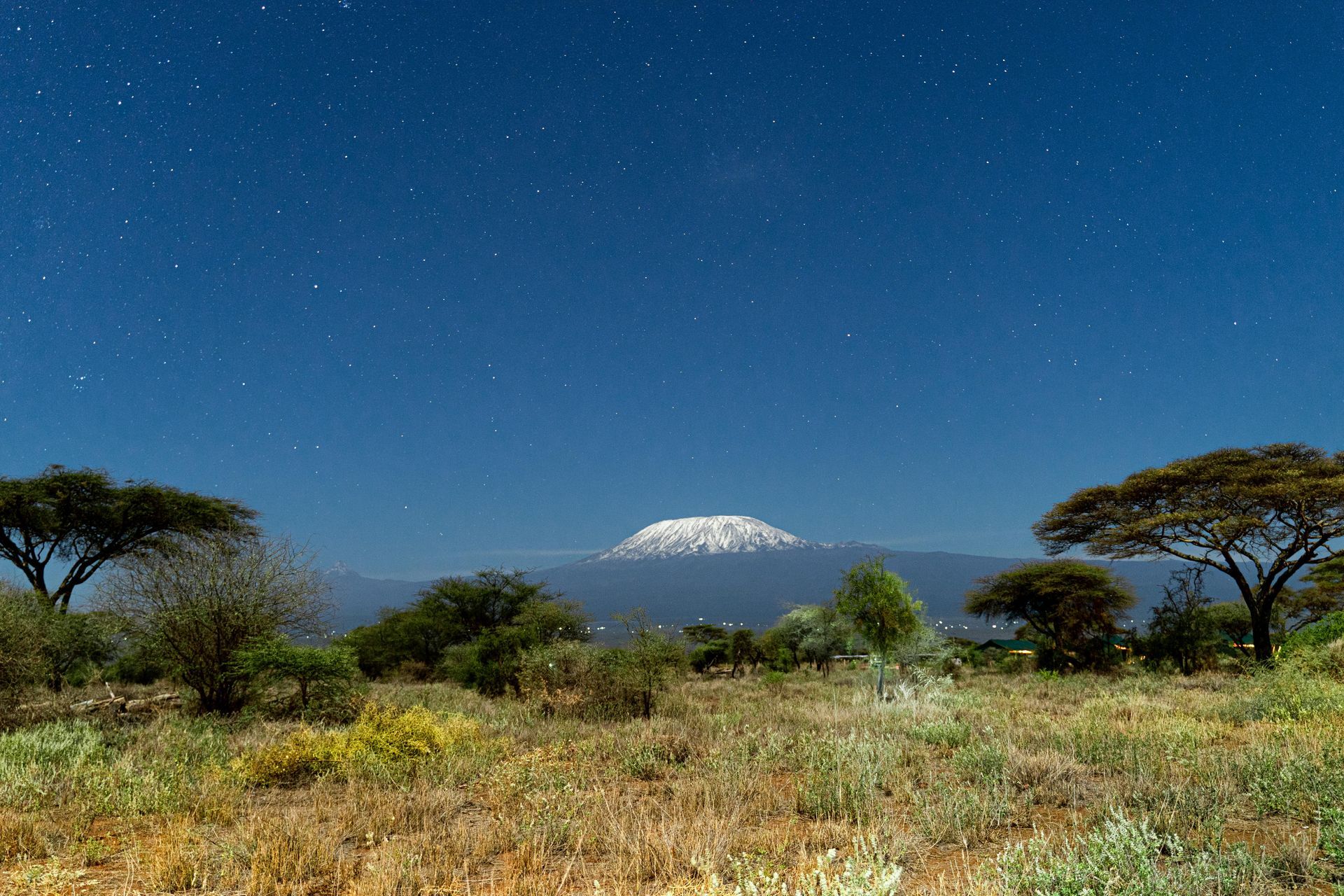 Night sky over snow-capped Mount Kilimanjaro, with trees and savanna in the foreground.