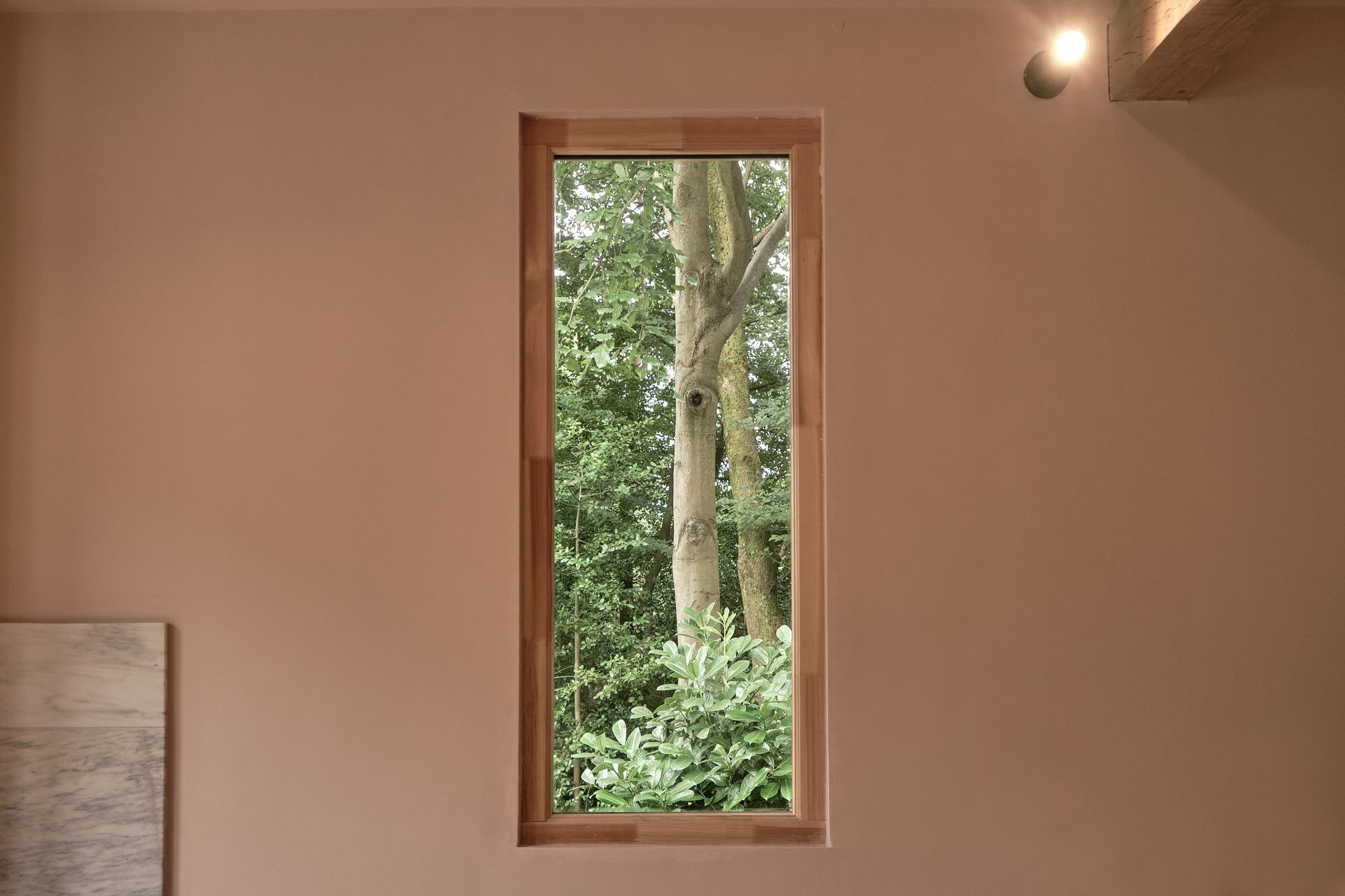 garden room internal wall with tall wooden window showing tree trunks outside