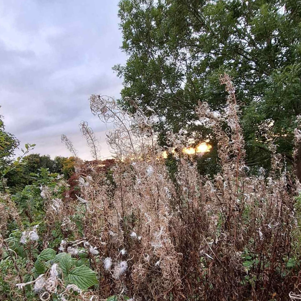 September newsletter