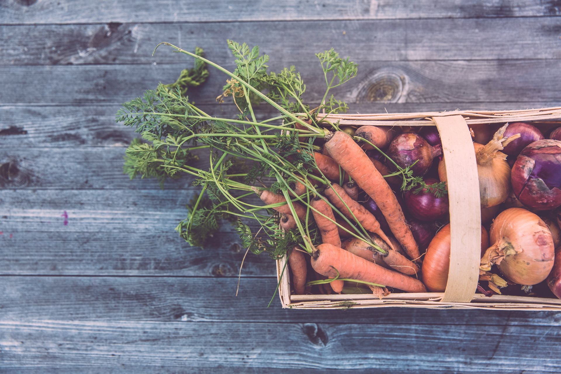 organic food in a basket