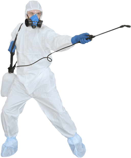 Pest Control Edinburgh