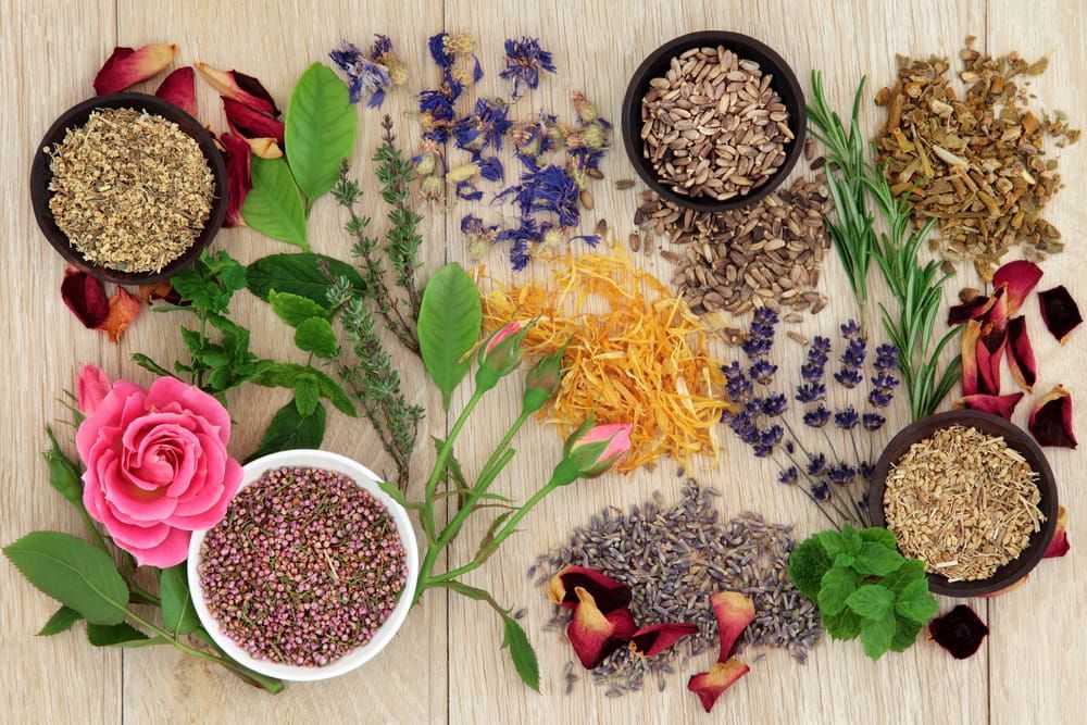 Variety Of Herbs And Flowers On A Wooden Table — Naturopath Australia In Mermaid Beach, QLD