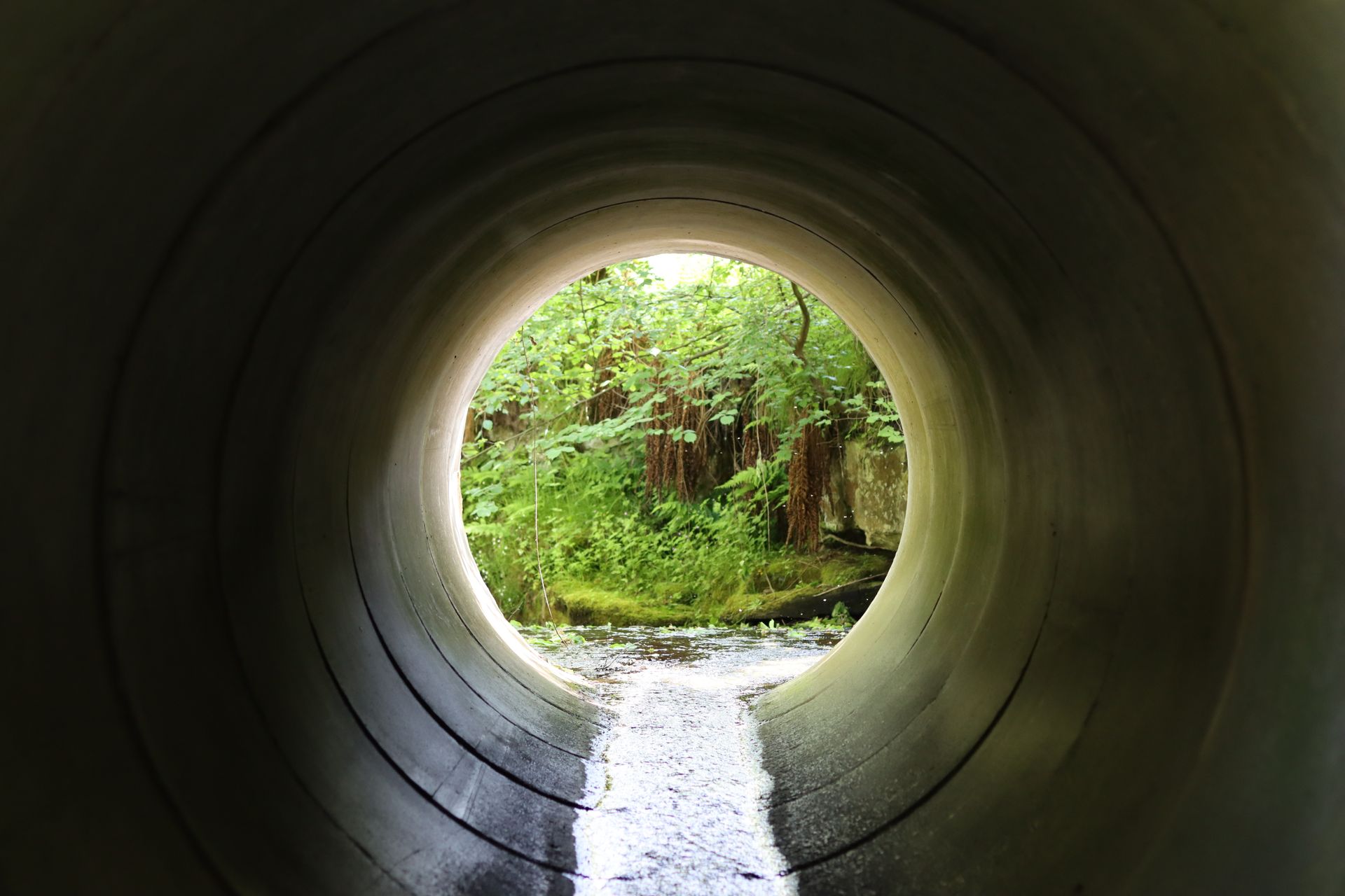 A view of a river through a tunnel with trees in the background.
