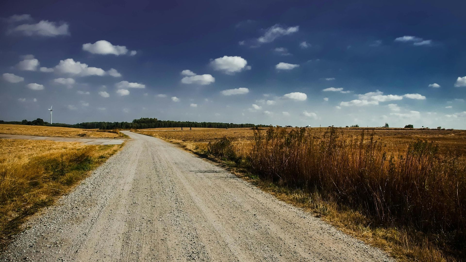 A dirt road going through a field on a sunny day.