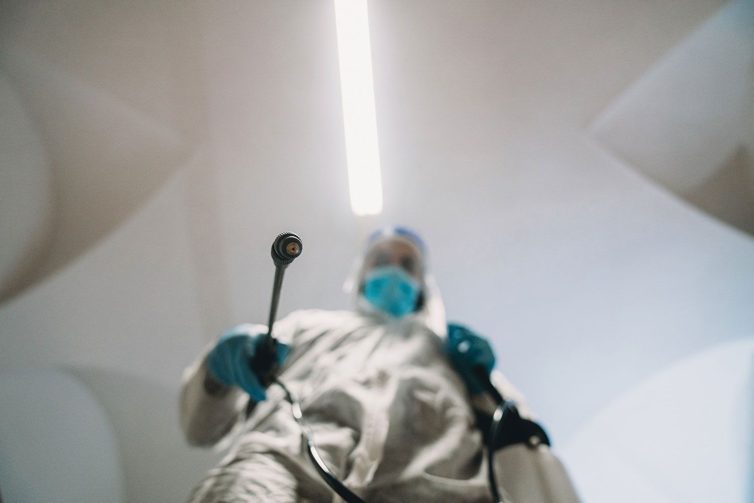 Disinfestazione Legnano