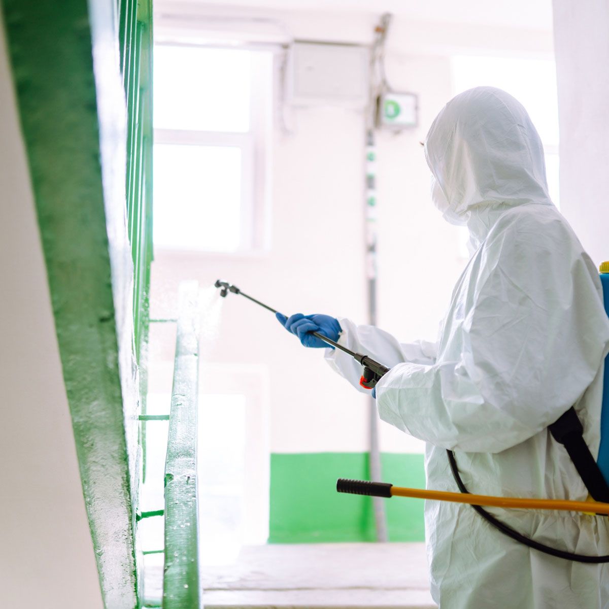 Disinfestazione Verbania