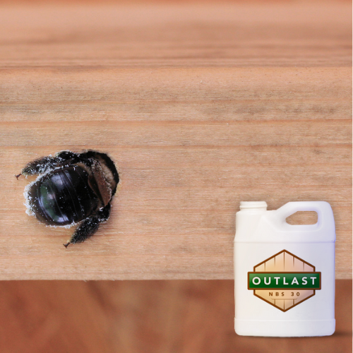 Shop log home pest solution products
