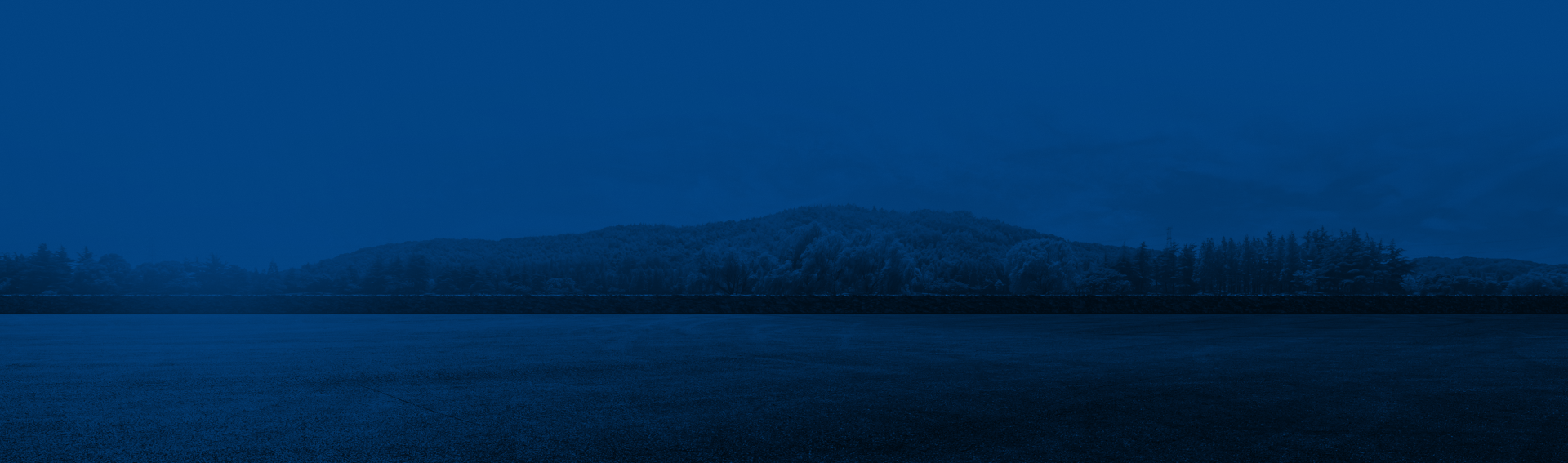 Dark blue landscape of a body of water and treeline in the distance under a dusky sky.