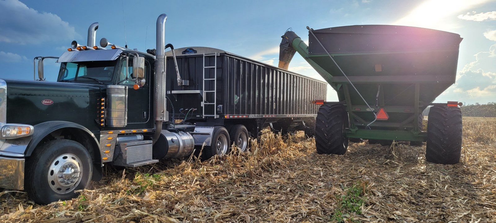 A semi truck is loading grain into a trailer in a field.