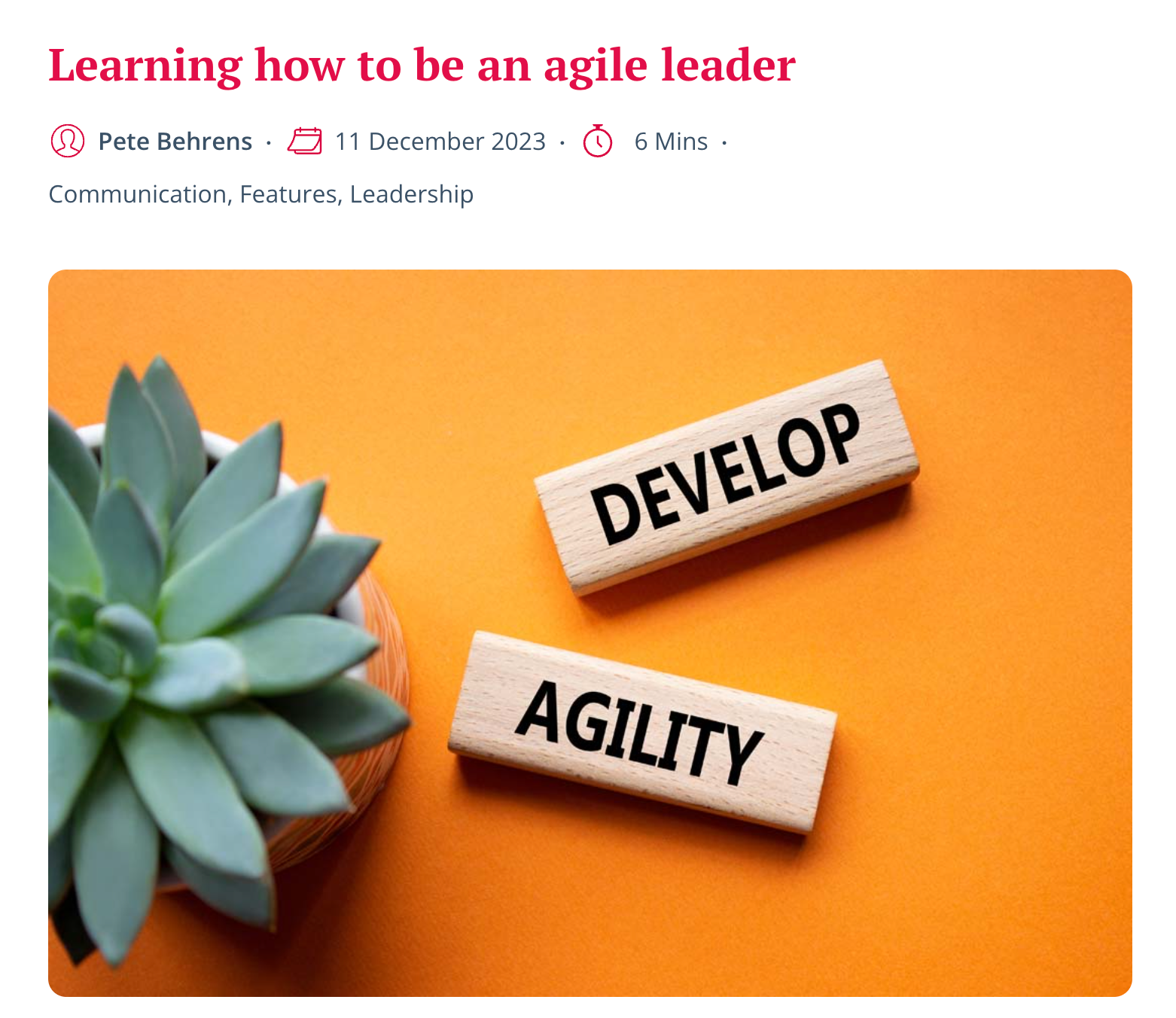 Two wooden blocks with the words 