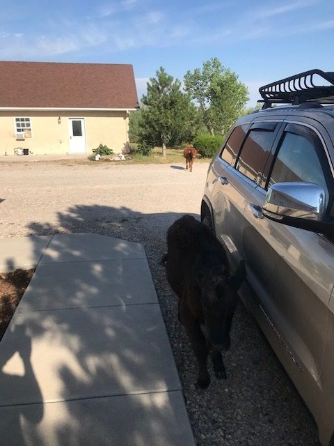 railroad services 20