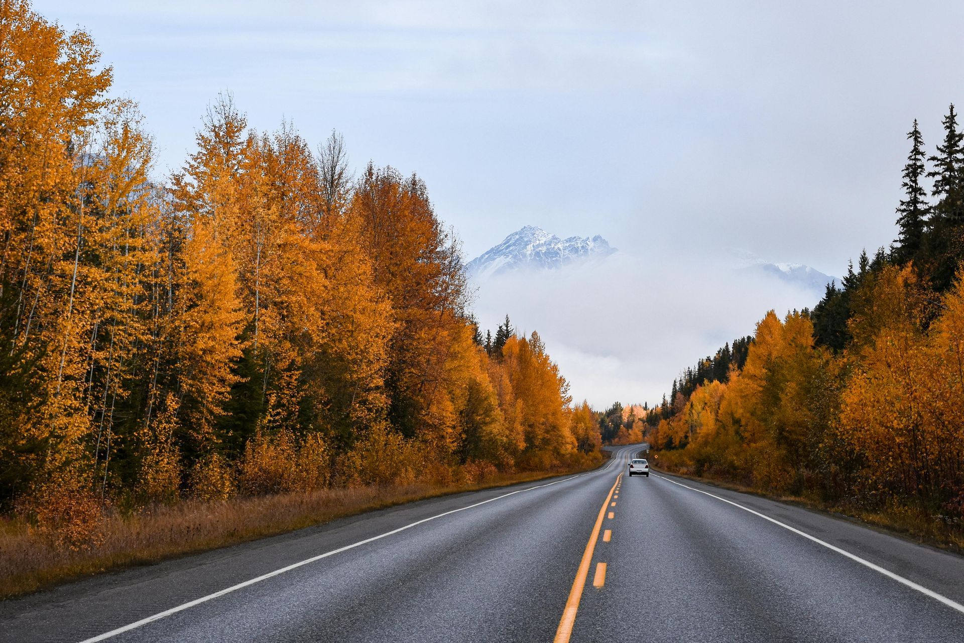Road through autumn trees, mountain peaks in the distance shrouded in clouds.