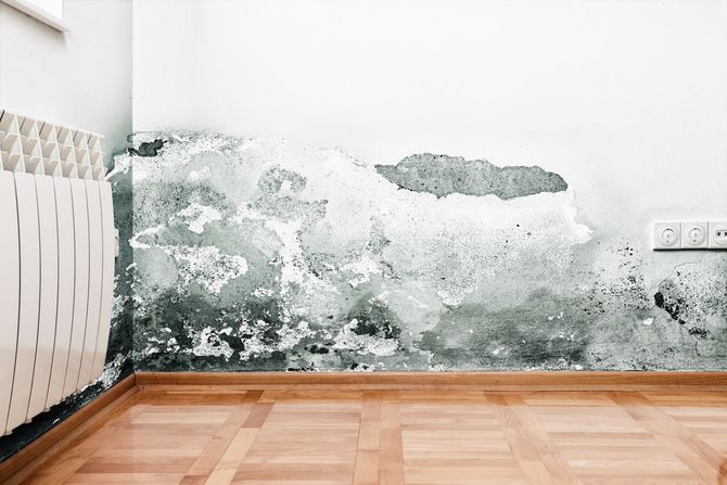 A room with a wooden floor and a white wall with mold on it.