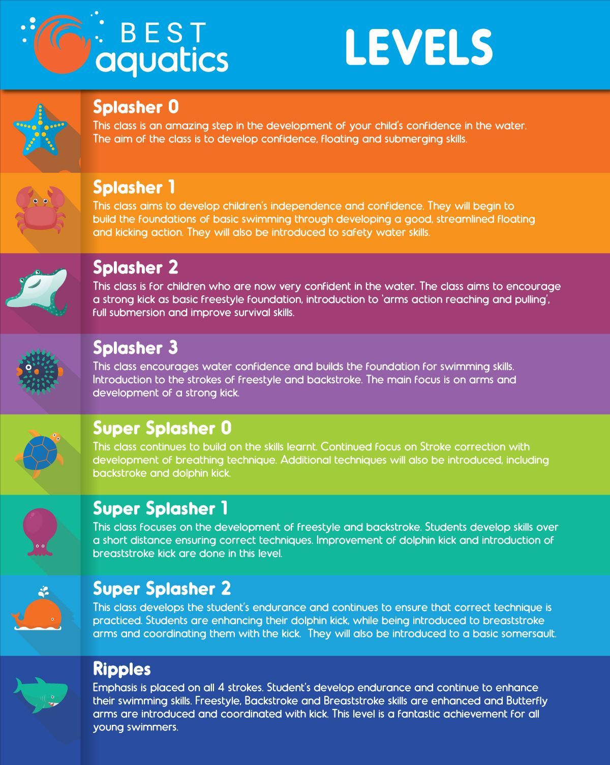 Colourful Levels description chart