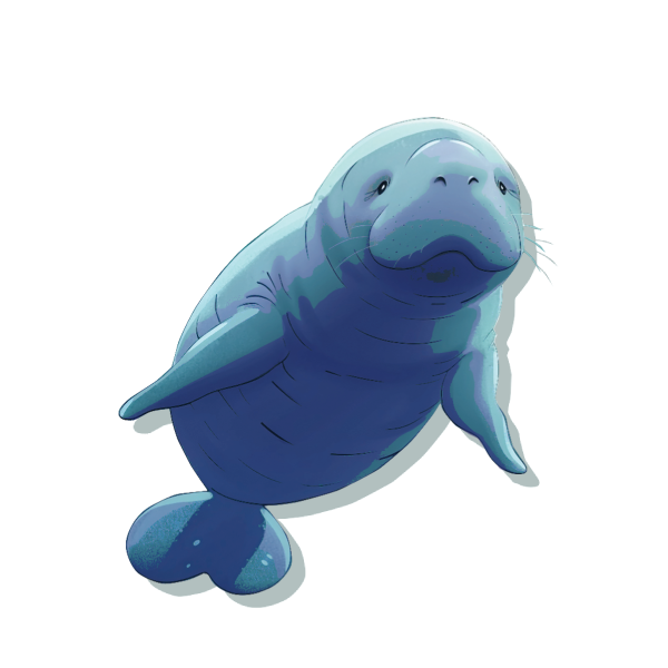 Manatee character
