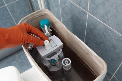 A person is cleaning a toilet with a glove.