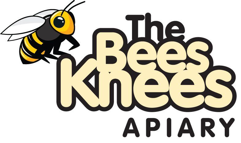 Ajax Logo designer | Logo design Ajax