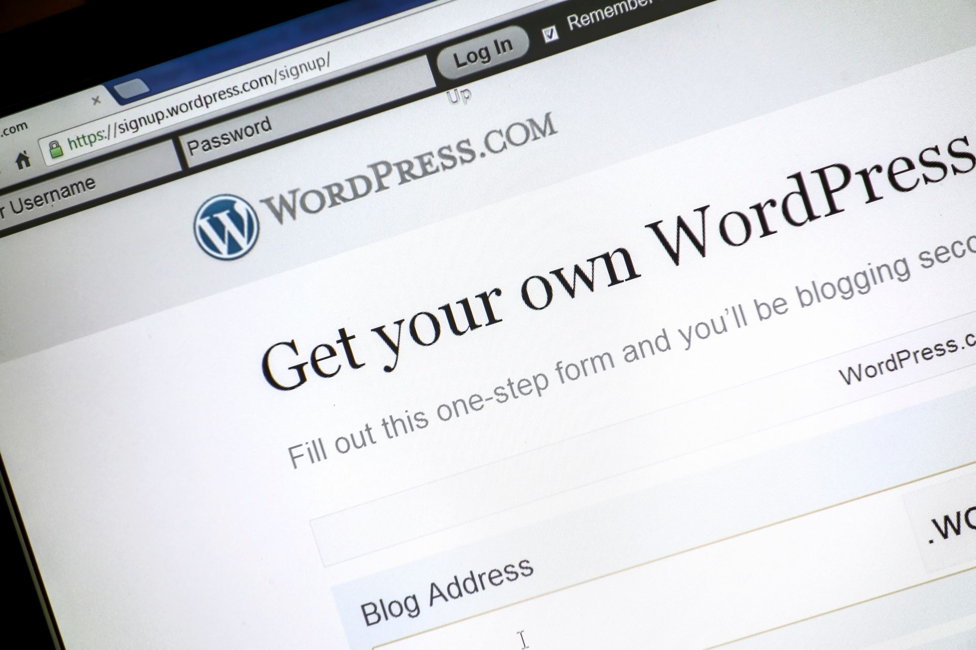 Wordpress website builder oshawa