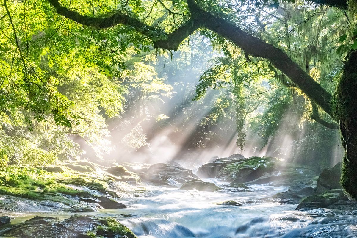 Christian counseling website design USA