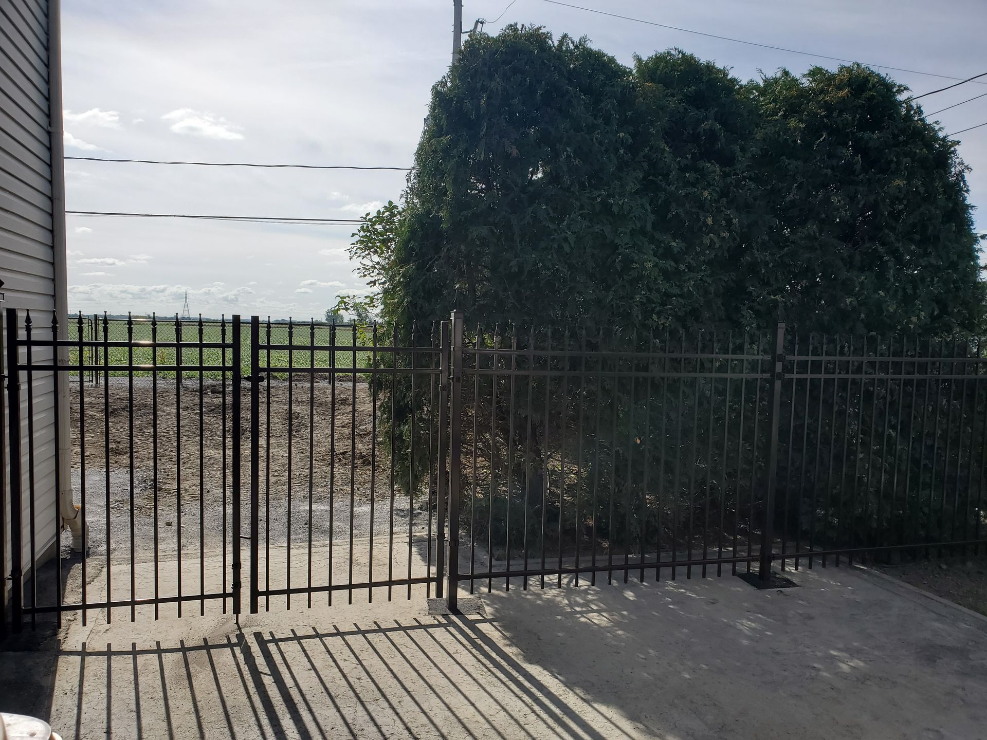 Une clôture noire entoure une cour avec des arbres en arrière-plan