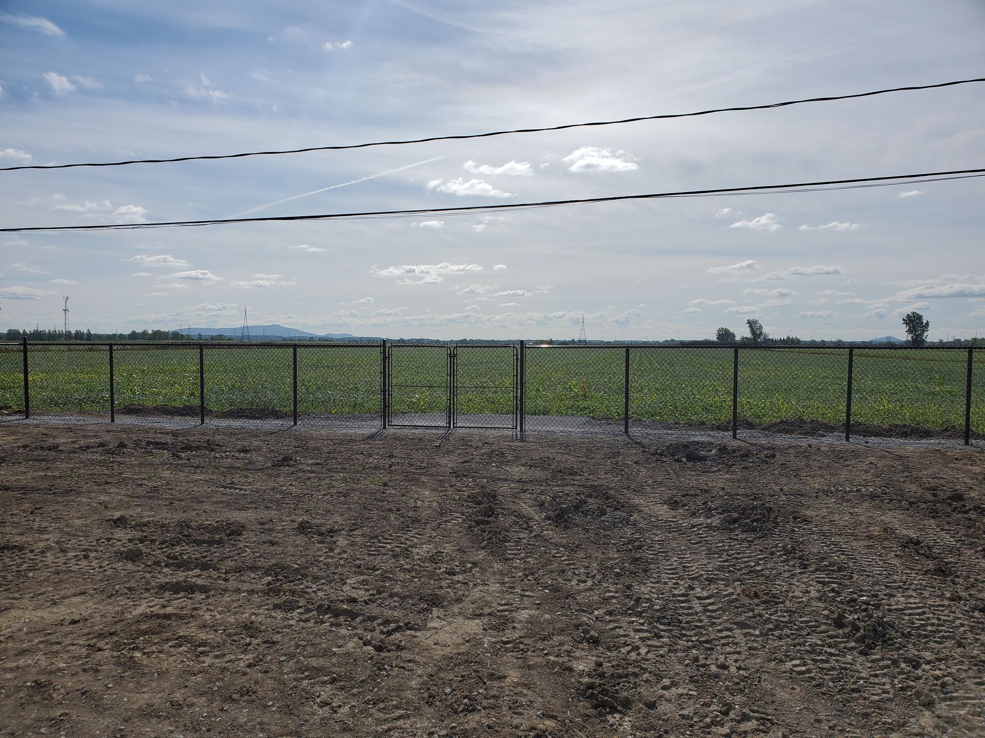 Une clôture en fil de fer barbelé entoure un champ d'herbe.