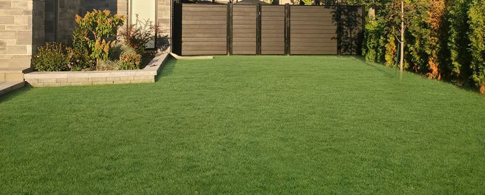 Pelouse verdoyante luxuriante dans une cour, bordée de pierres et d'une clôture en bois ; feuillage en arrière-plan.