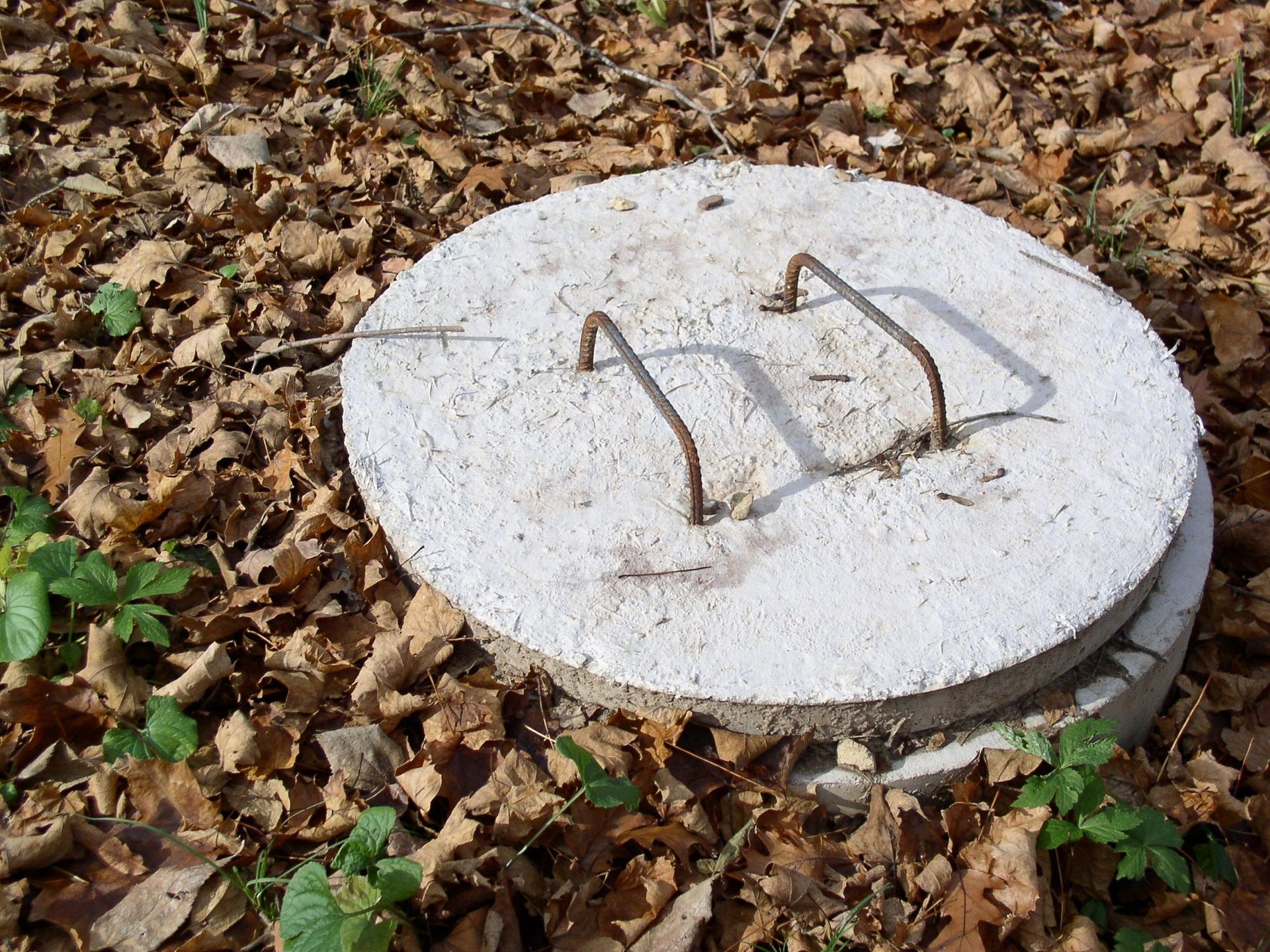 Concrete manhole cover with rusty handles, resting on another, surrounded by dead leaves and some greenery.