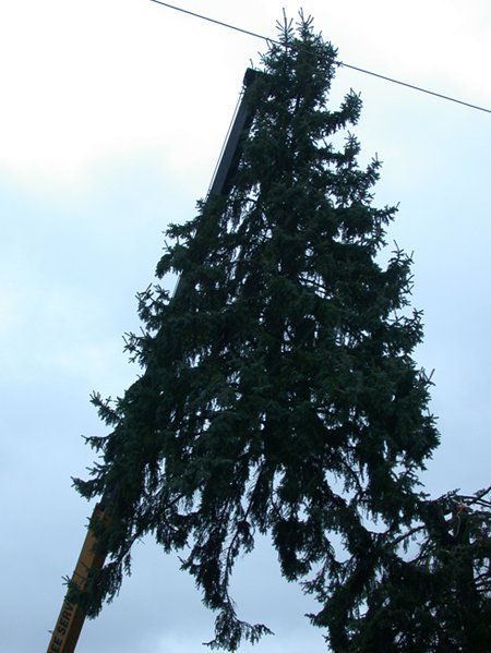 Removing the Top Half