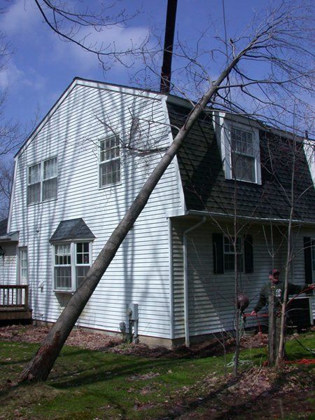 Storm Damage
