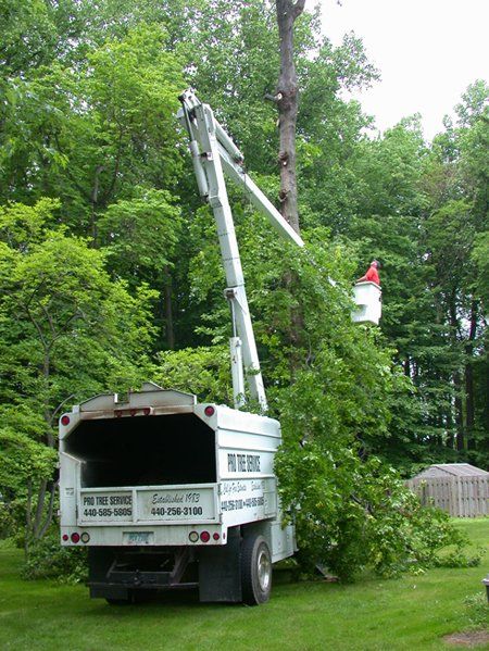 Bucket Truck Service