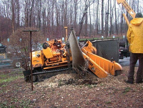 Stump Grinding