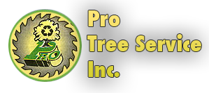 Pro Tree Service Inc.