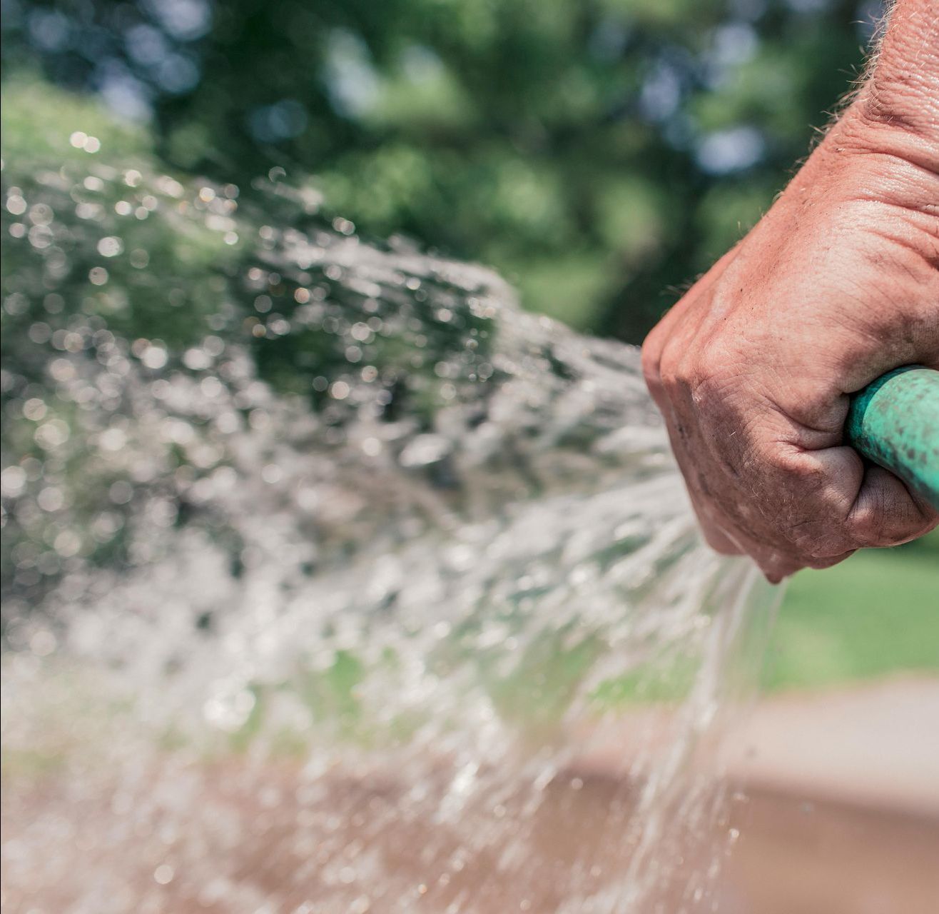 A man is watering a garden with a green hose.