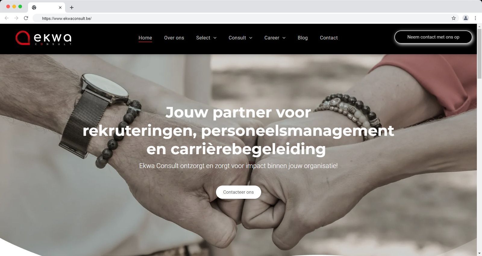 Consulting, Designand development