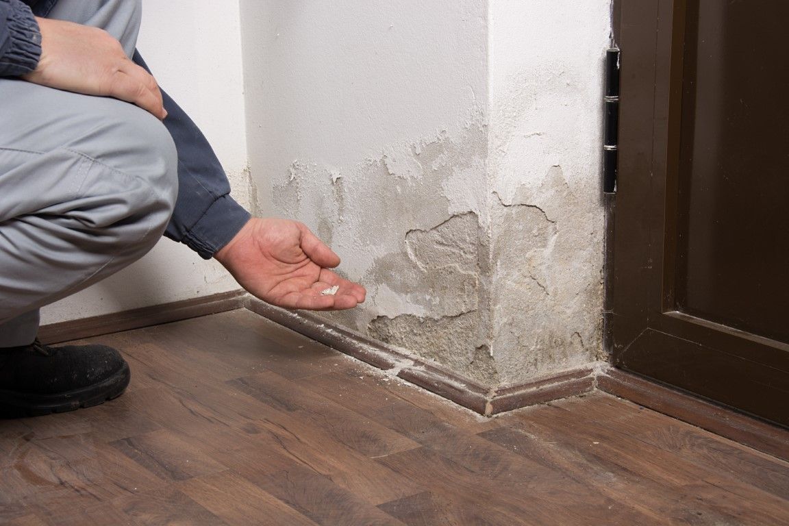 Person inspecting water-damaged wall corner with peeling paint, near a dark door and wood floor.