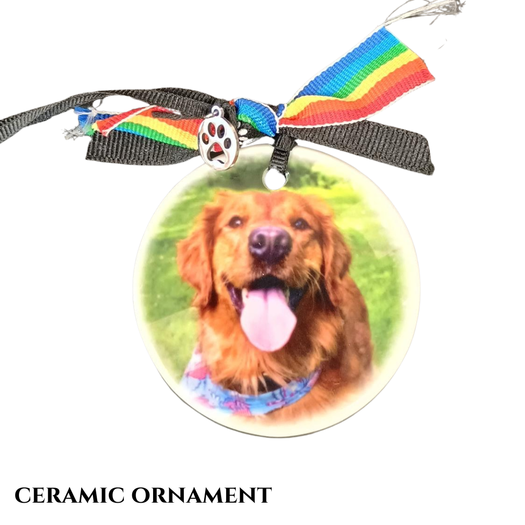 White circle ornament with color photo of dog in center. Ribbon for hanging.