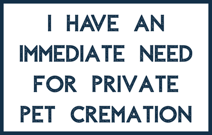 I have an immediate need for private pet cremation