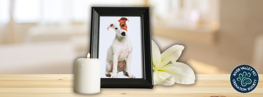 Candle next to framed photo of pet