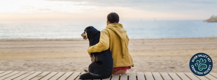Human sitting next to dog