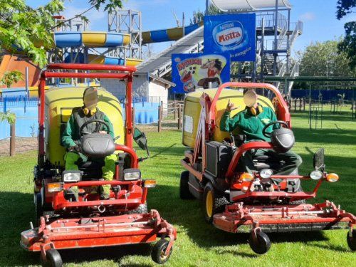 Esperti del verde a Novara: trasformiamo il tuo giardino in un'oasi di pace