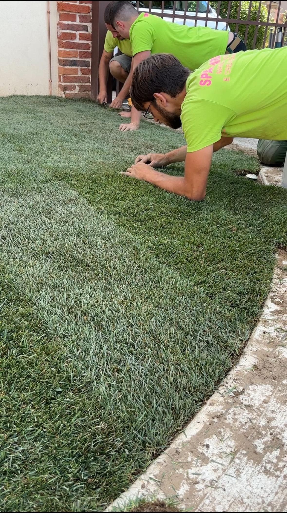 posa dei rotoli di prato a Novara